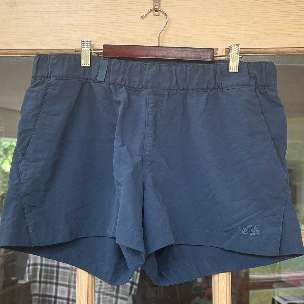 The North Face Women’s Blue Shorts (Size L)